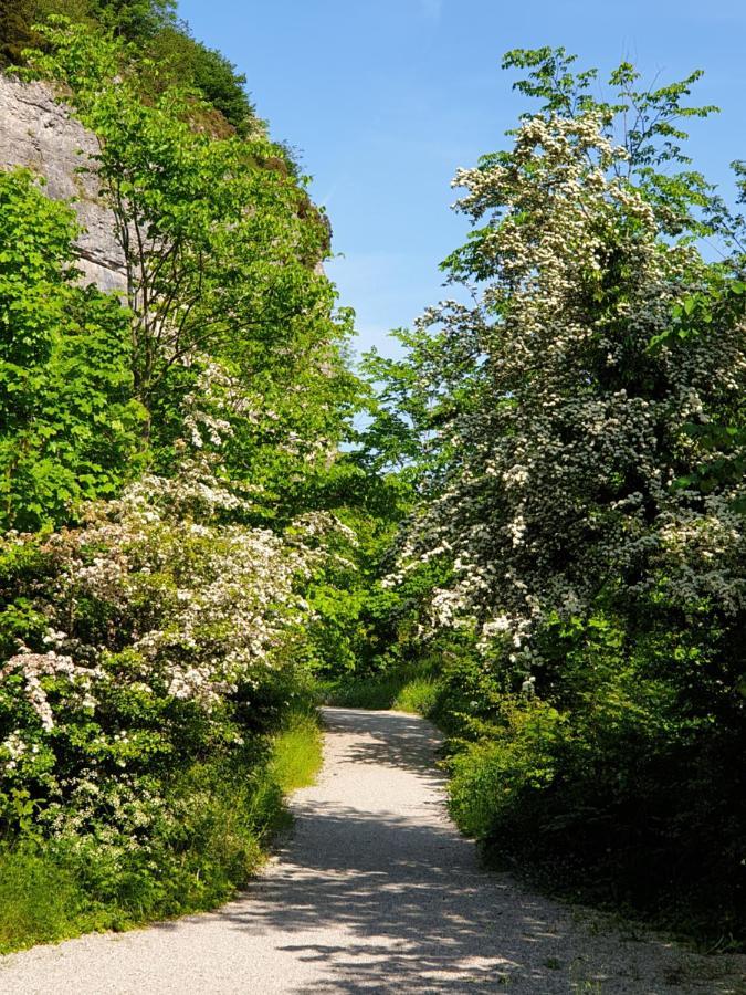 The Cottage Stony Middleton Εξωτερικό φωτογραφία
